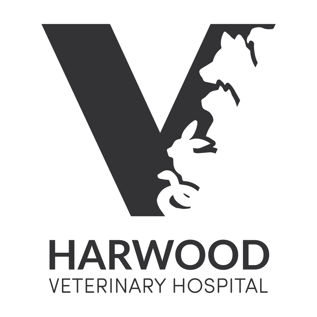 Harwood_Veterinary_Hospital_HHT26_Friend_Sponsor_Social_Square 1a_w1080px Harwood Veterinary Hospital — Logo
