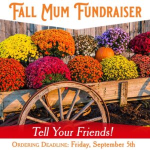 Fall Mum Fundraiser